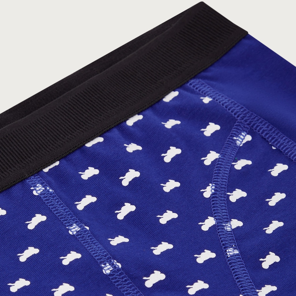 Paddock Blue Underwear Boys Gift Set